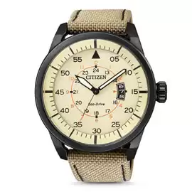 CITIZEN AW1365-19P