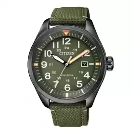 CITIZEN AW5005-21Y