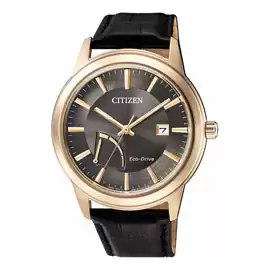 CITIZEN AW7013-05H