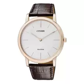 CITIZEN AR1113-12A