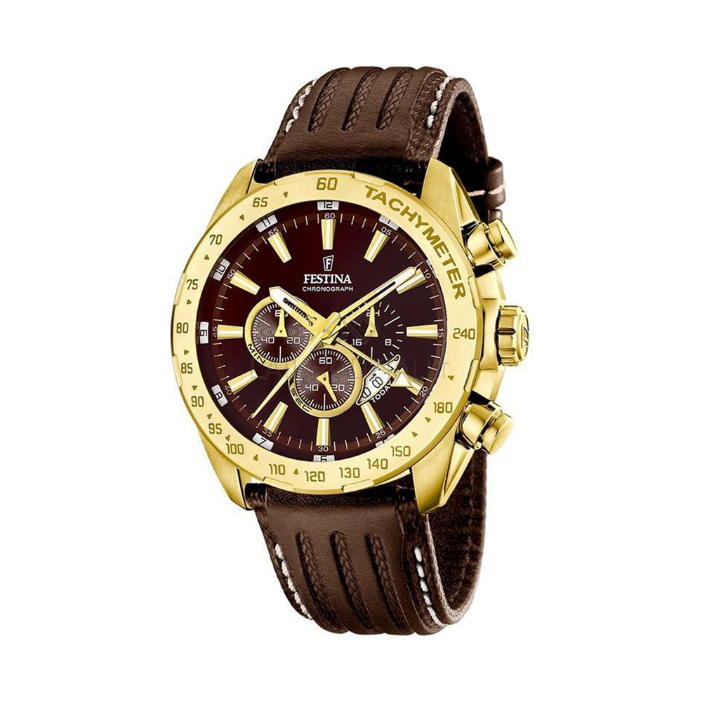 ساعت مچی مردانه فستینا FESTINA F16879/3