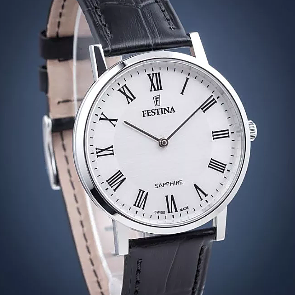ساعت مچی مردانه فستینا FESTINA F20012/2