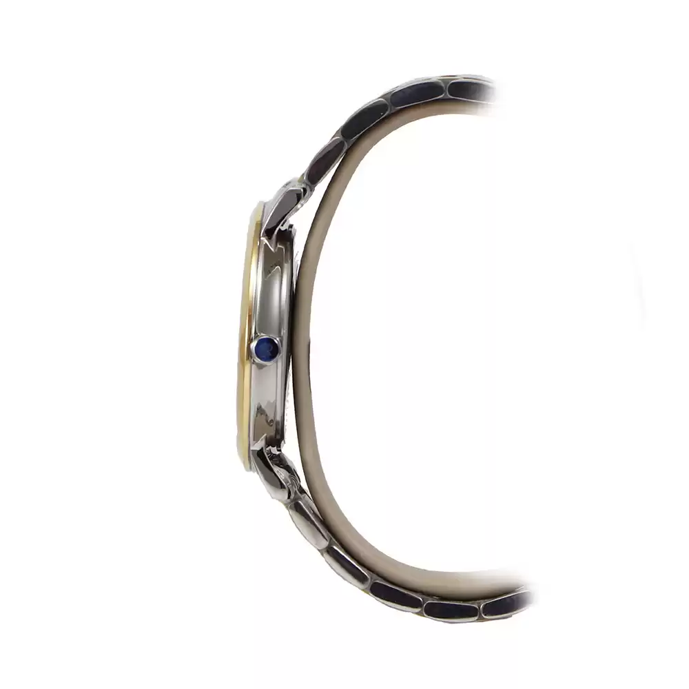 ساعت مچی مردانه رویال لندن ROYALLONDON-41462-03