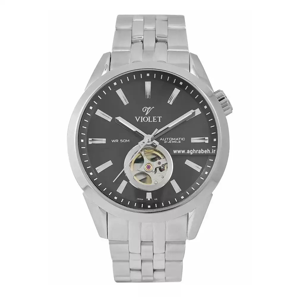 ساعت مچی مردانه ویولت VIOLET 0349G.1-1-6