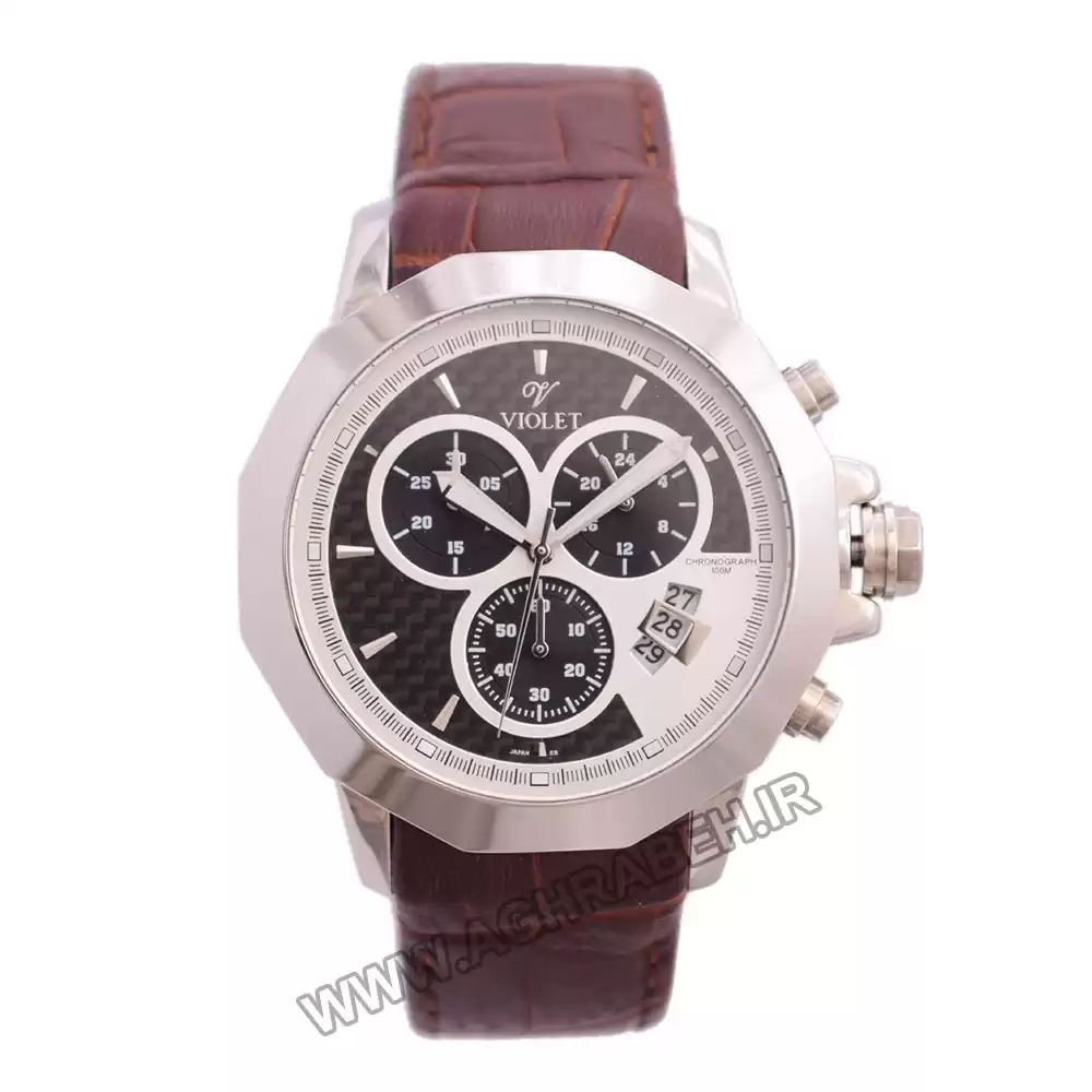 ساعت مچی مردانه ویولت VIOLET-0172G.1-8-6