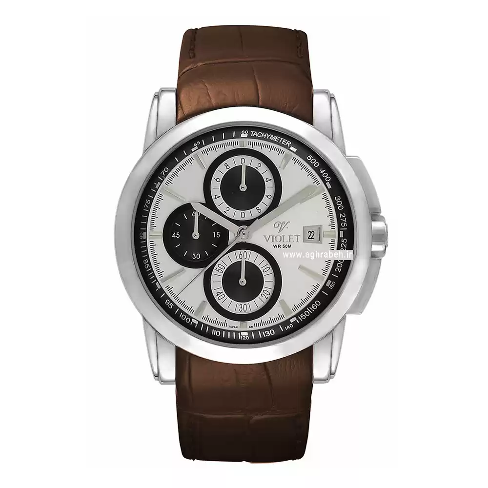 ساعت مچی مردانه ویولت VIOLET 0162G.1-8-1