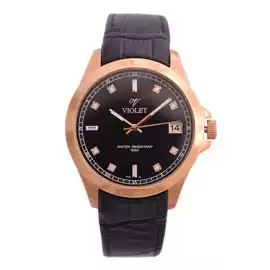 خرید ساعت مچی مردانه ویولت مدل VIOLET-0461G.5-6-6 با بهترین قیمت