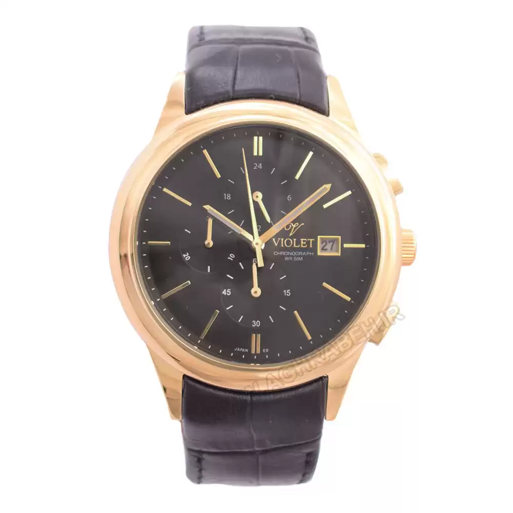 ساعت مچی مردانه ویولت VIOLET-0402G.4-6-6