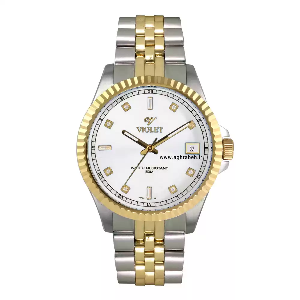 ساعت مچی مردانه ویولت VIOLET 0299G.2-2-1