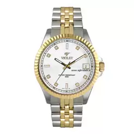 خرید ساعت مچی مردانه ویولت مدل VIOLET 0299G.2-2-1 با بهترین قیمت