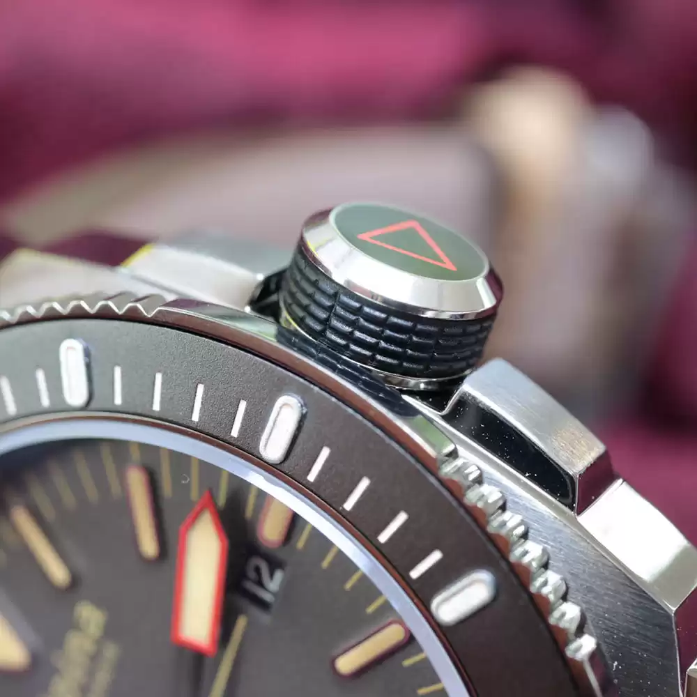 ساعت مچی مردانه آلپینا ALPINA-AL-525LGG4TV6