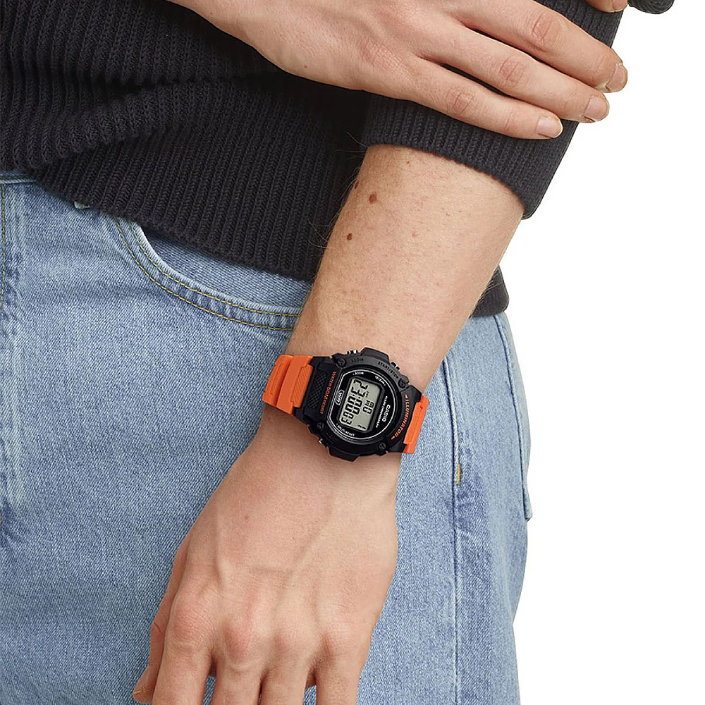 ساعت مچی مردانه کاسیو CASIO W-219H-4A