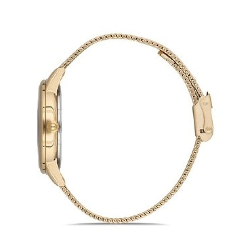 ساعت مچی زنانه دنیل کلین daniel klein DK.1.12561.2