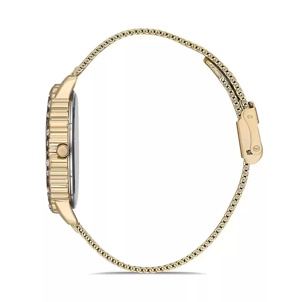 ساعت مچی زنانه دنیل کلین DANIEL KLEIN DK.1.12520.6