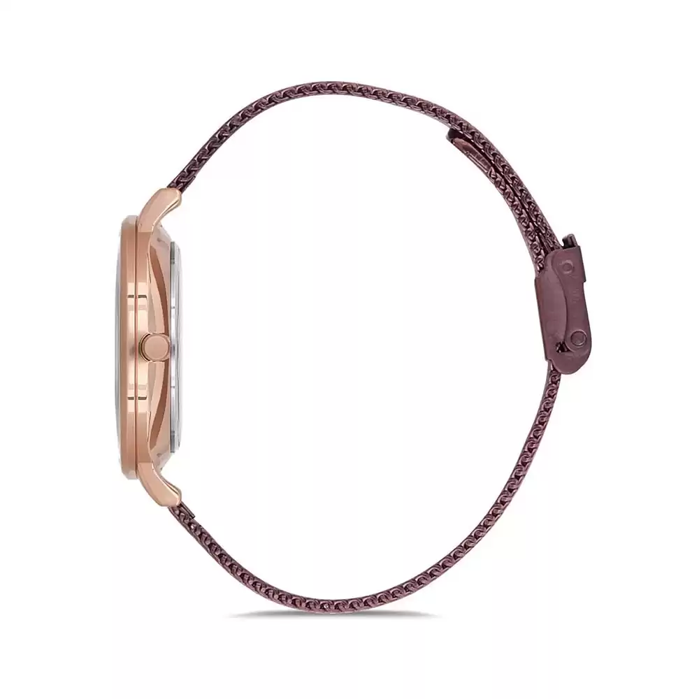 ساعت مچی زنانه دنیل کلین DANIEL KLEIN DK.1.12524.3