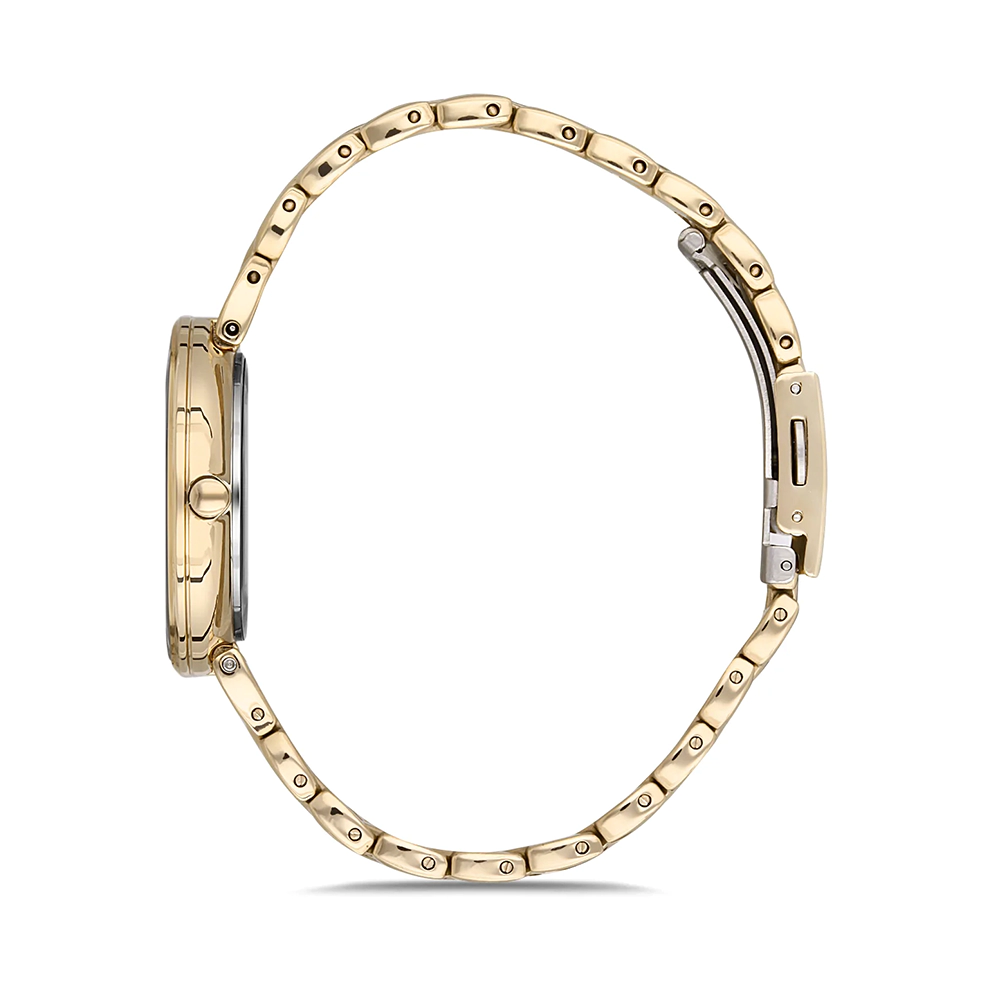 ساعت مچی زنانه دنیل کلین DANIEL KLEIN DK.1.12666.6