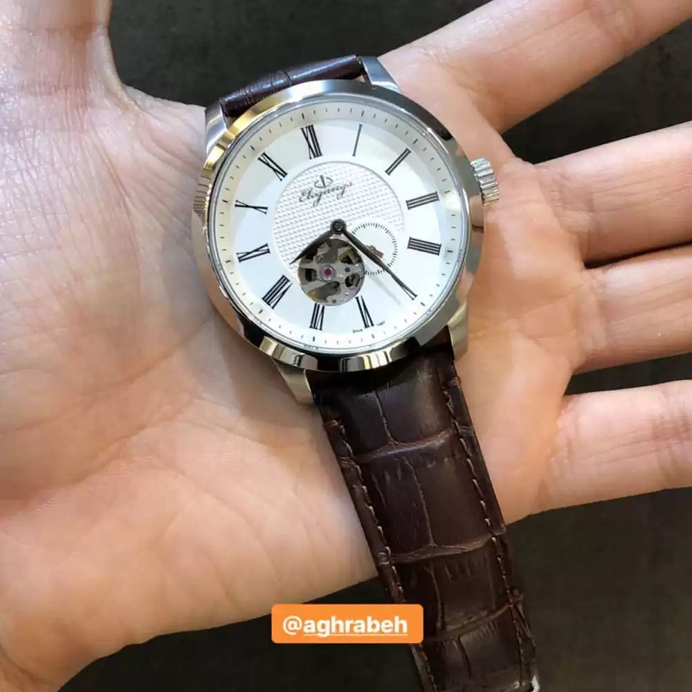 ساعت مچی مردانه الگنگس(s40) ELEGANGS-8047-101