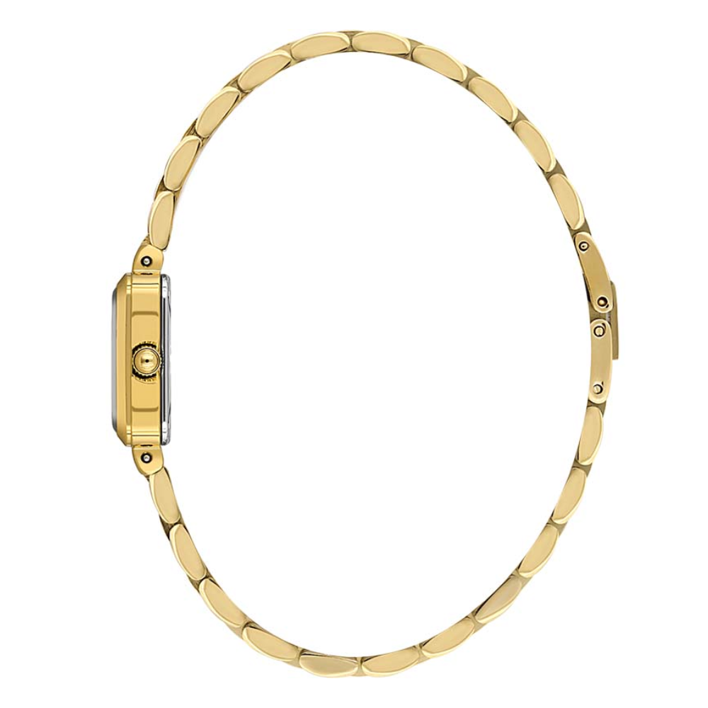 ساعت مچی دنیل کلین زنانه DANIELKLEIN DK.1.13913-4